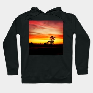 Sunset at Jarvis Estate Vineyard, Margaret River, WA Hoodie